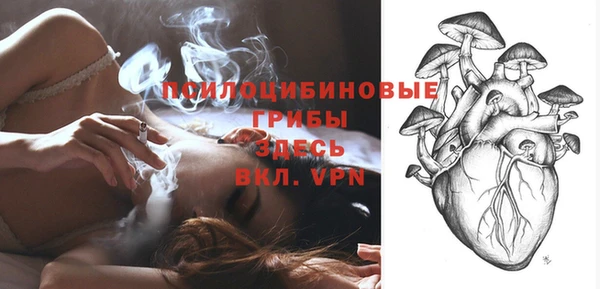 гашик Горно-Алтайск