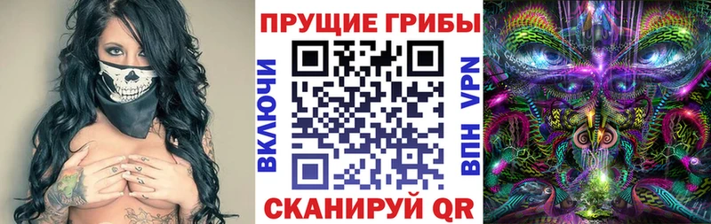 Псилоцибиновые грибы GOLDEN TEACHER  Купить закладки  Коркино 